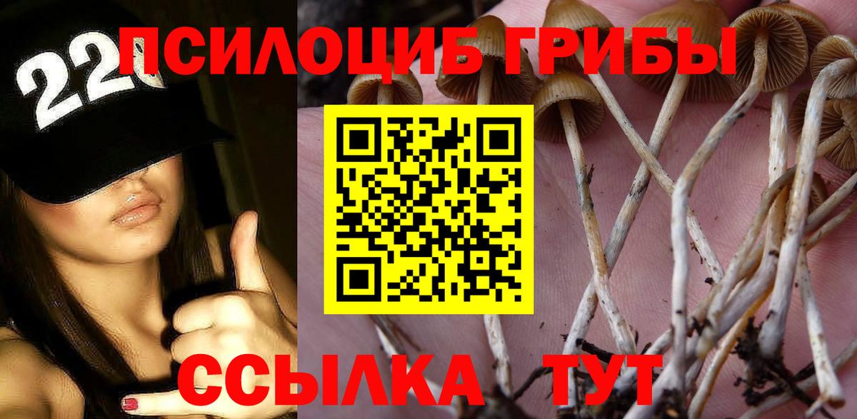 Галлюциногенные грибы прущие грибы Балашов